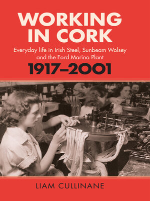 cover image of Working in Cork